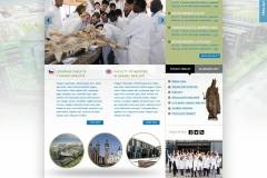 Lekarska_Fakulta_UK_v_HK__Webdesign