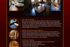 SPIKER-_Webdesign