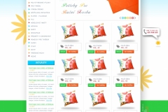 ZRUČNĚ-e-shop-redesign